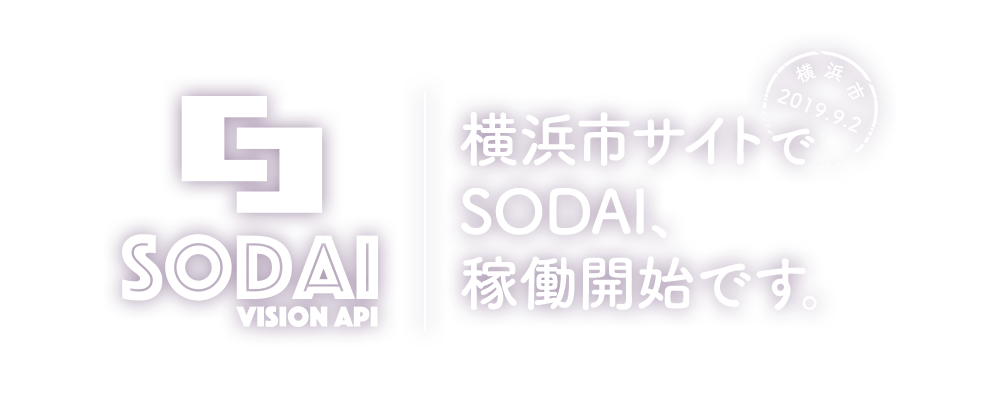 SODAI vision API